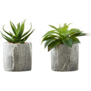 Monarch Home Decor Artificial Plants I 9586 IMAGE 1