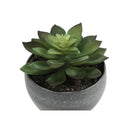 Monarch Home Decor Artificial Plants I 9587 IMAGE 4