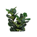 Monarch Home Decor Artificial Plants I 9511 IMAGE 5