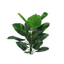 Monarch Home Decor Artificial Plants I 9519 IMAGE 5