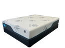 Sleep In Mattress Collection Cuivre Healthy Beds Rx2-tout en mousse 12"